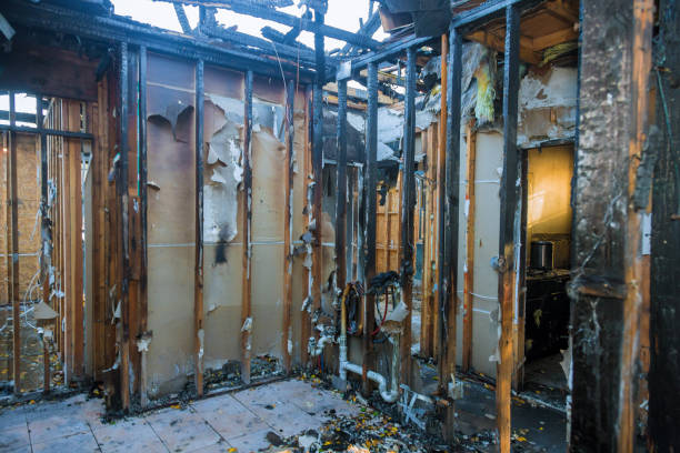 Professional Soot Cleanup technician working in Cape Coral, FL